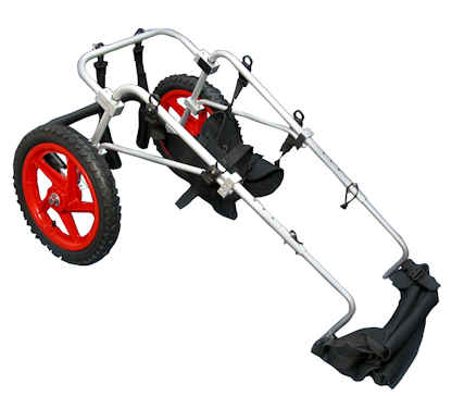 Large Rear Leg Support Wheelchair *Free Sports Harness In